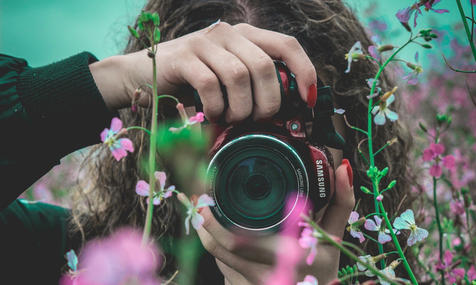 Fotografin fotografiert zwischen blühenden Wiesenblumen mit einer Kamera