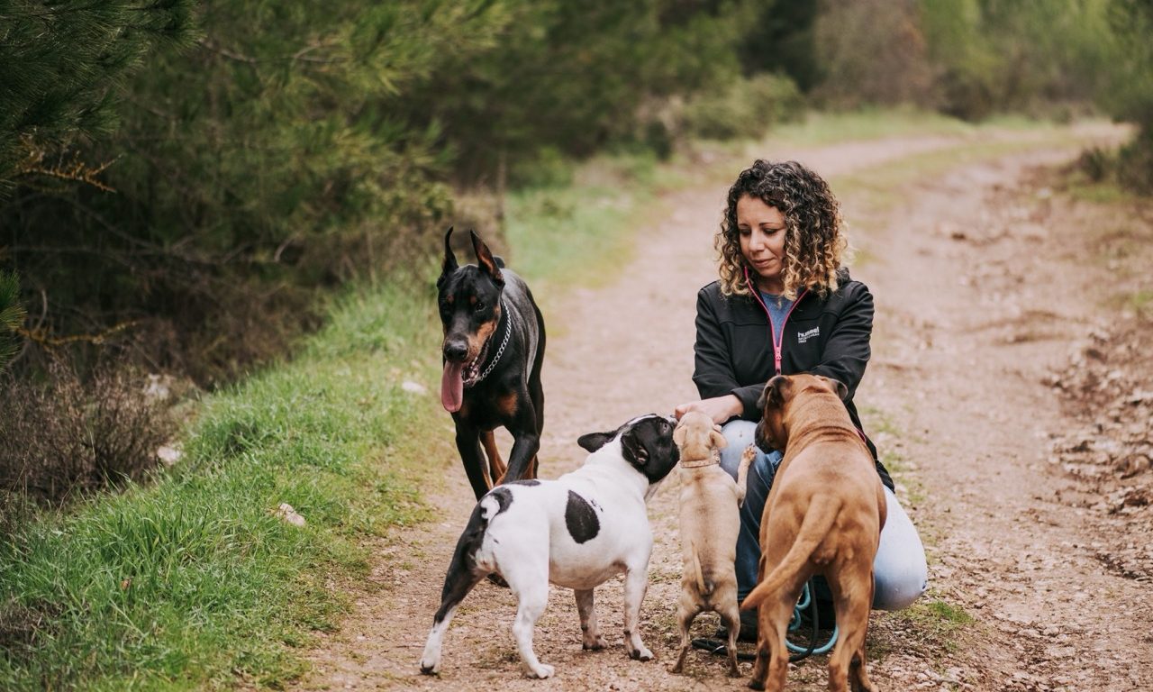 Hundetraining im Freien mit Hund an der Leine